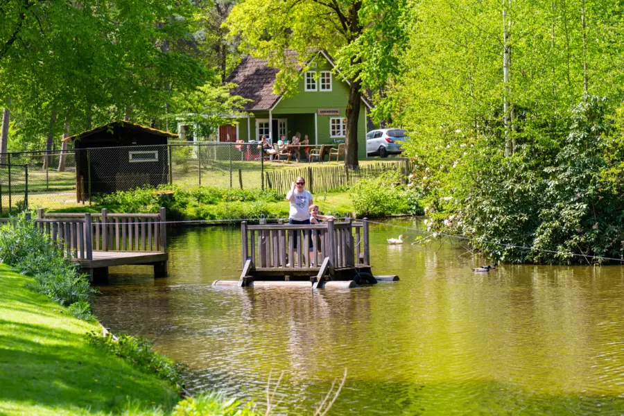 Trekvlot heldense bossen